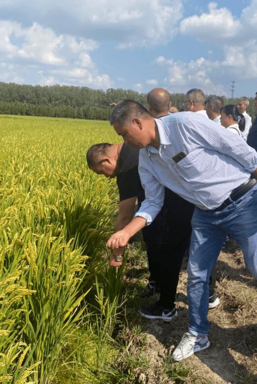 &mdash;千亩种植大户观摩南通市农业新技术推广协会双s新